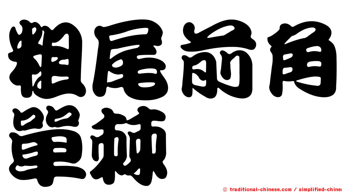 粗尾前角單棘魨