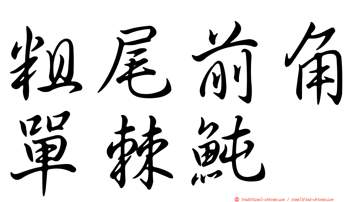 粗尾前角單棘魨