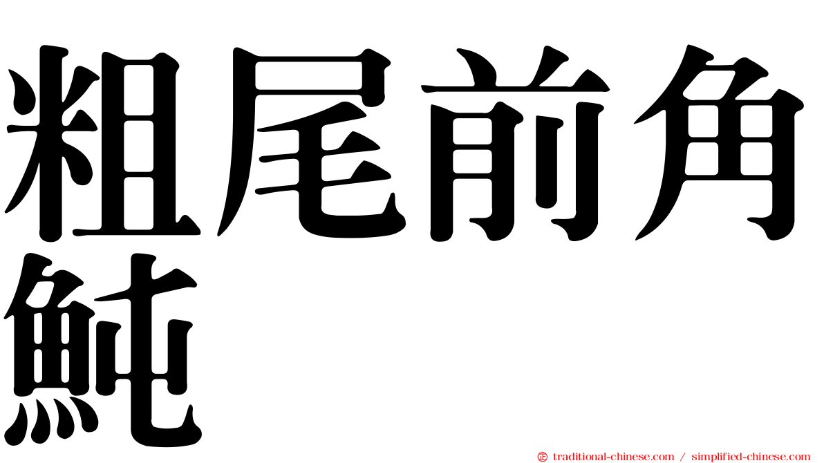 粗尾前角魨
