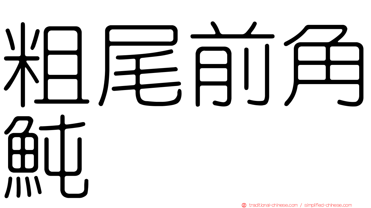 粗尾前角魨