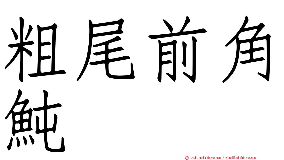 粗尾前角魨