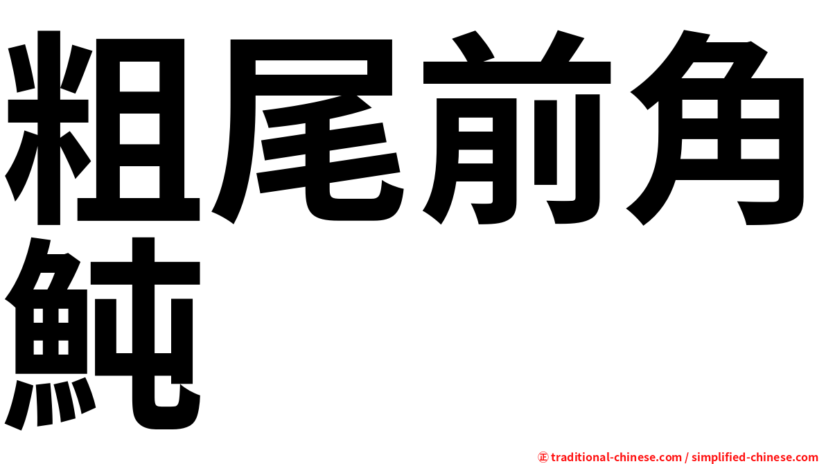粗尾前角魨