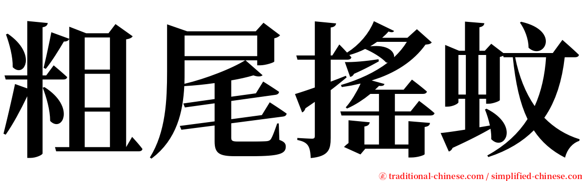 粗尾搖蚊 serif font