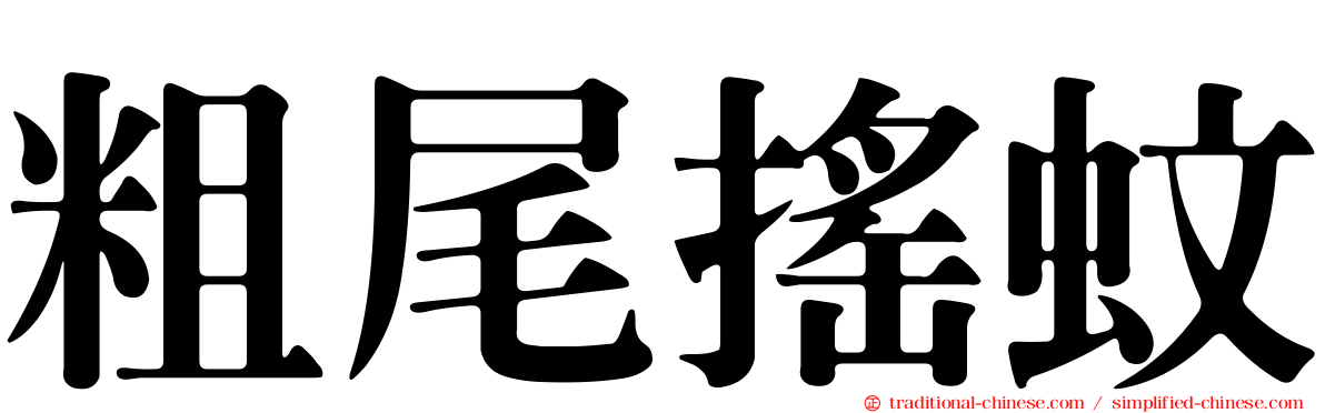 粗尾搖蚊