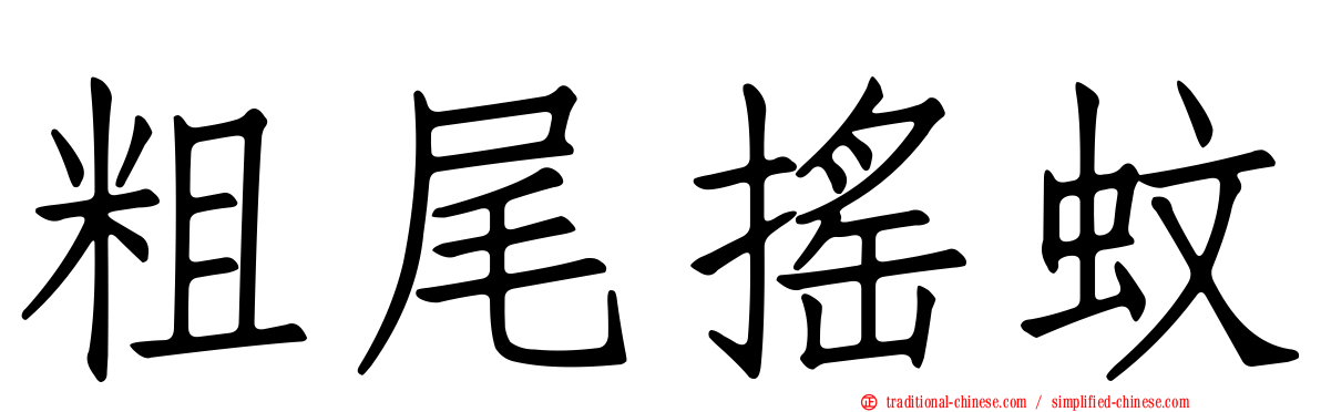 粗尾搖蚊