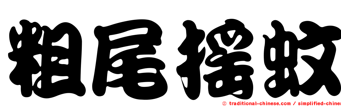 粗尾搖蚊