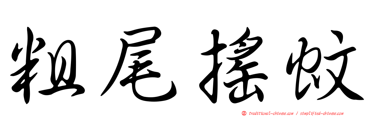 粗尾搖蚊