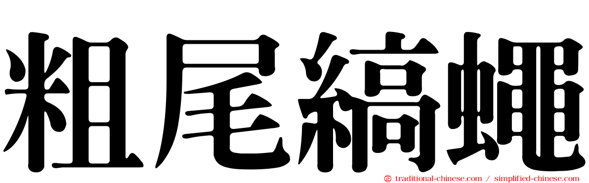 粗尾縞蠅