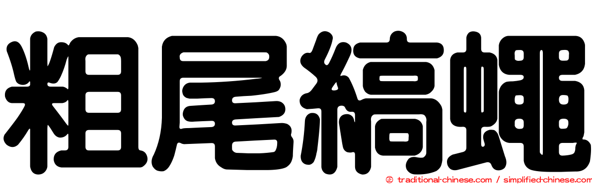 粗尾縞蠅