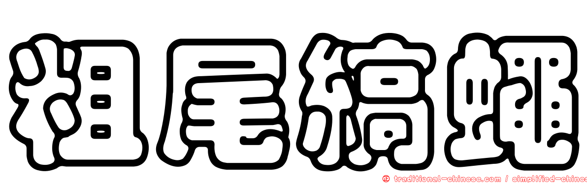 粗尾縞蠅