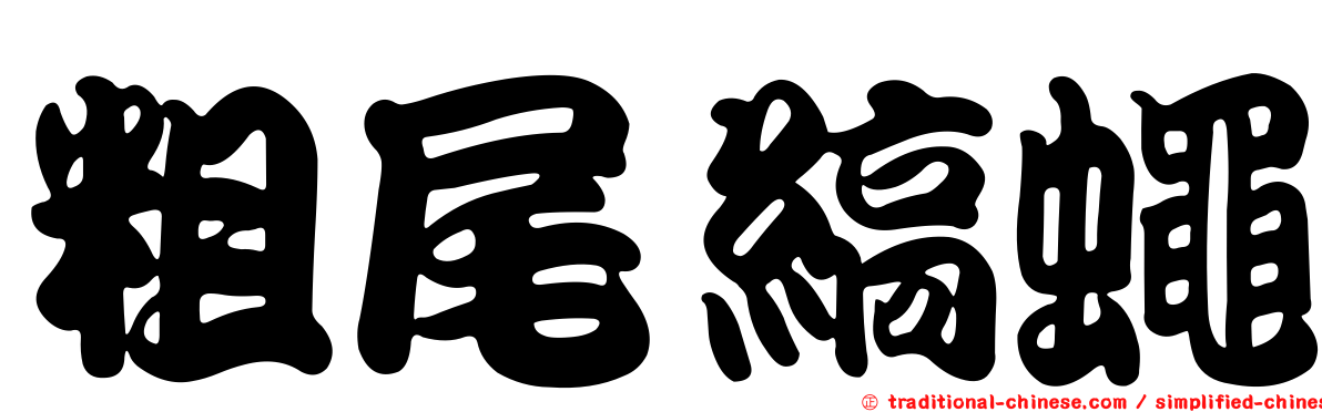 粗尾縞蠅