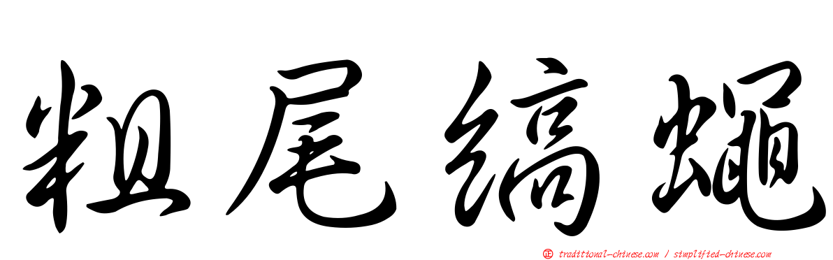 粗尾縞蠅