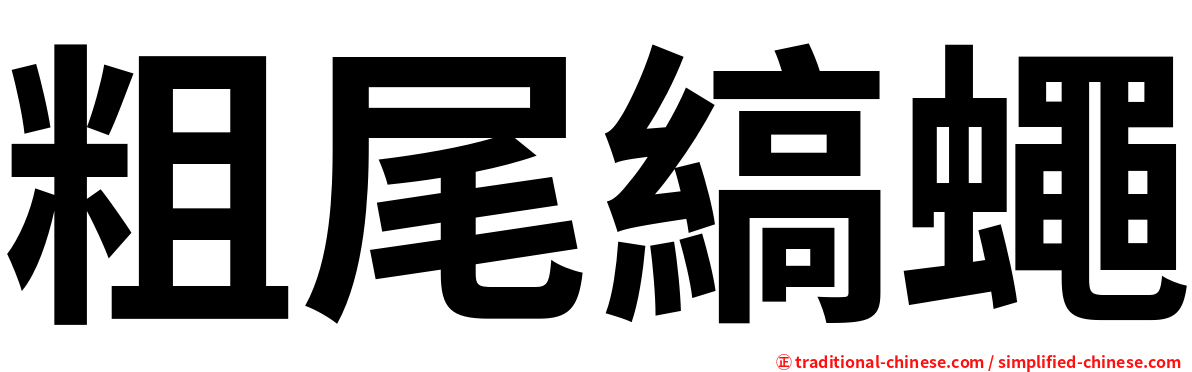 粗尾縞蠅