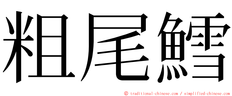 粗尾鱈 ming font