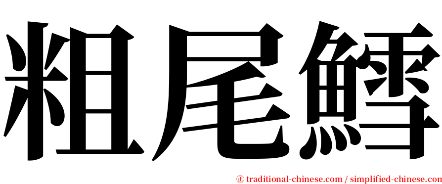 粗尾鱈 serif font