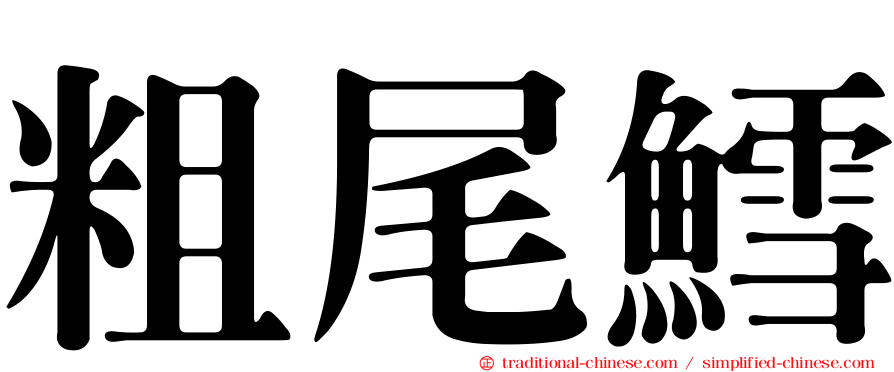 粗尾鱈
