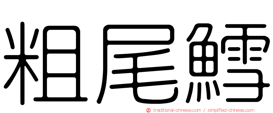 粗尾鱈
