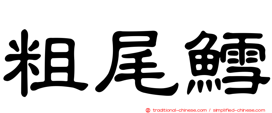 粗尾鱈
