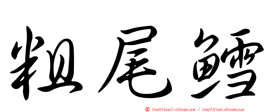粗尾鱈