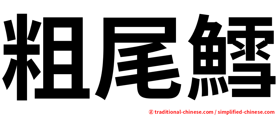 粗尾鱈