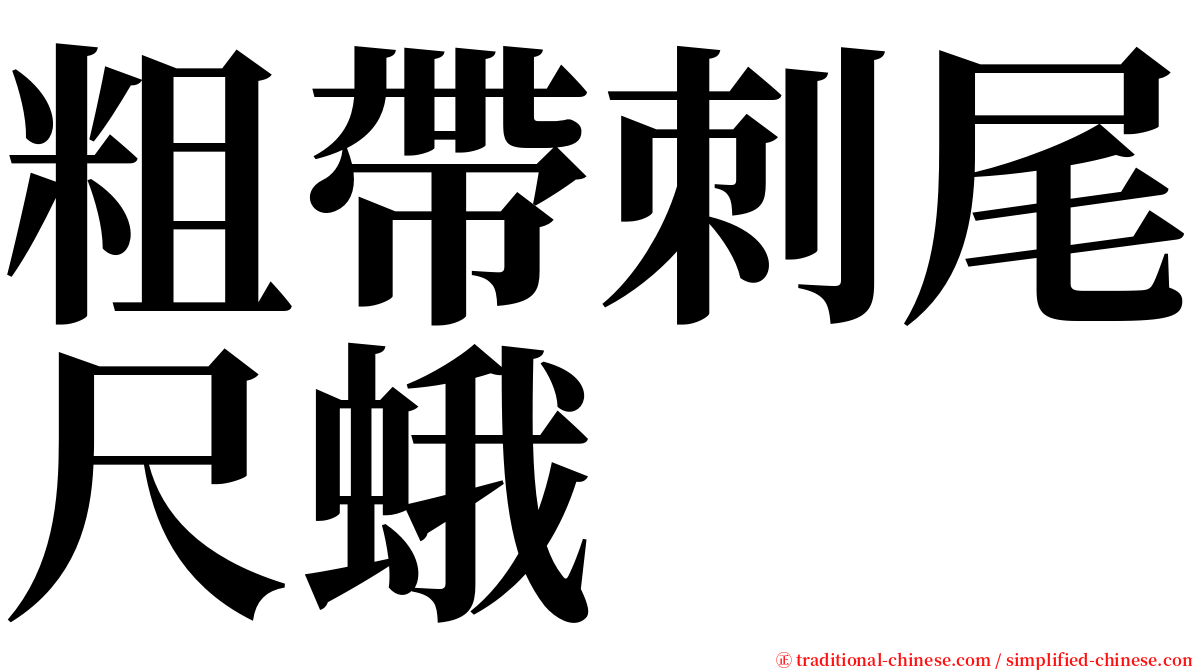 粗帶刺尾尺蛾 serif font
