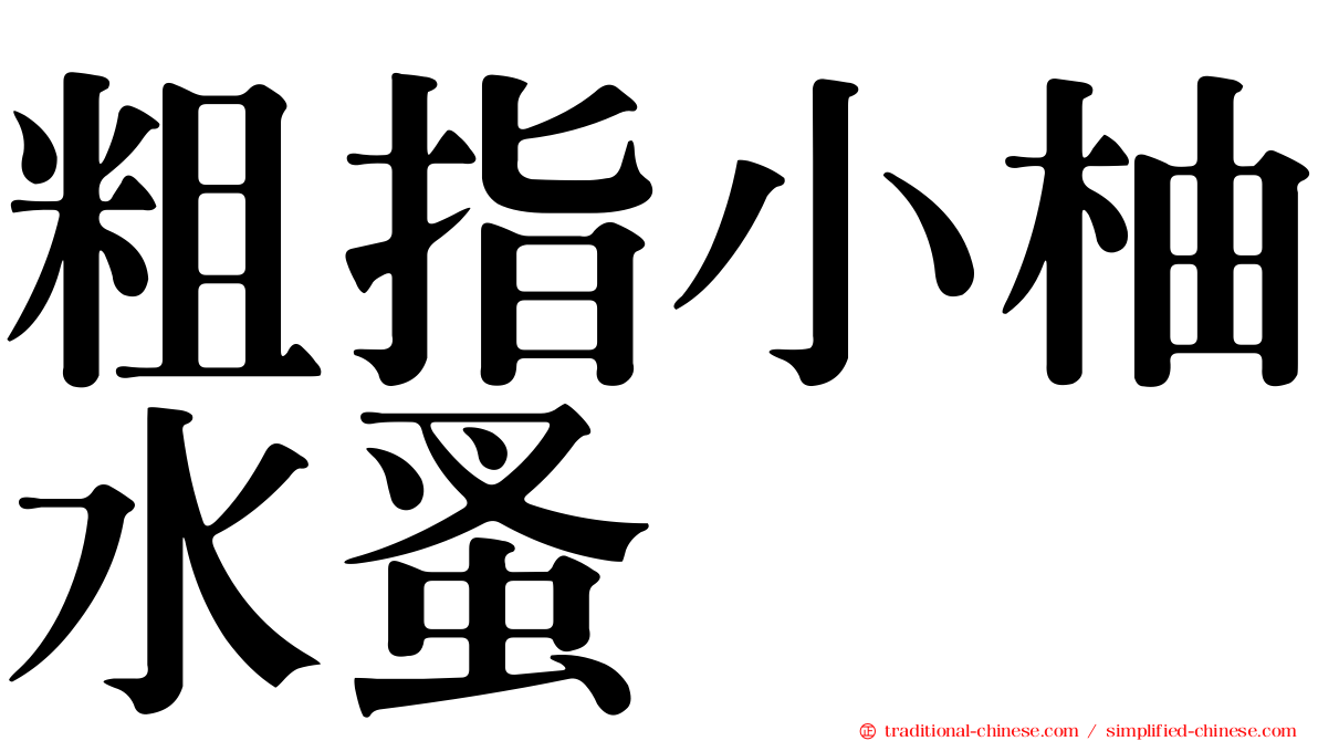粗指小柚水蚤