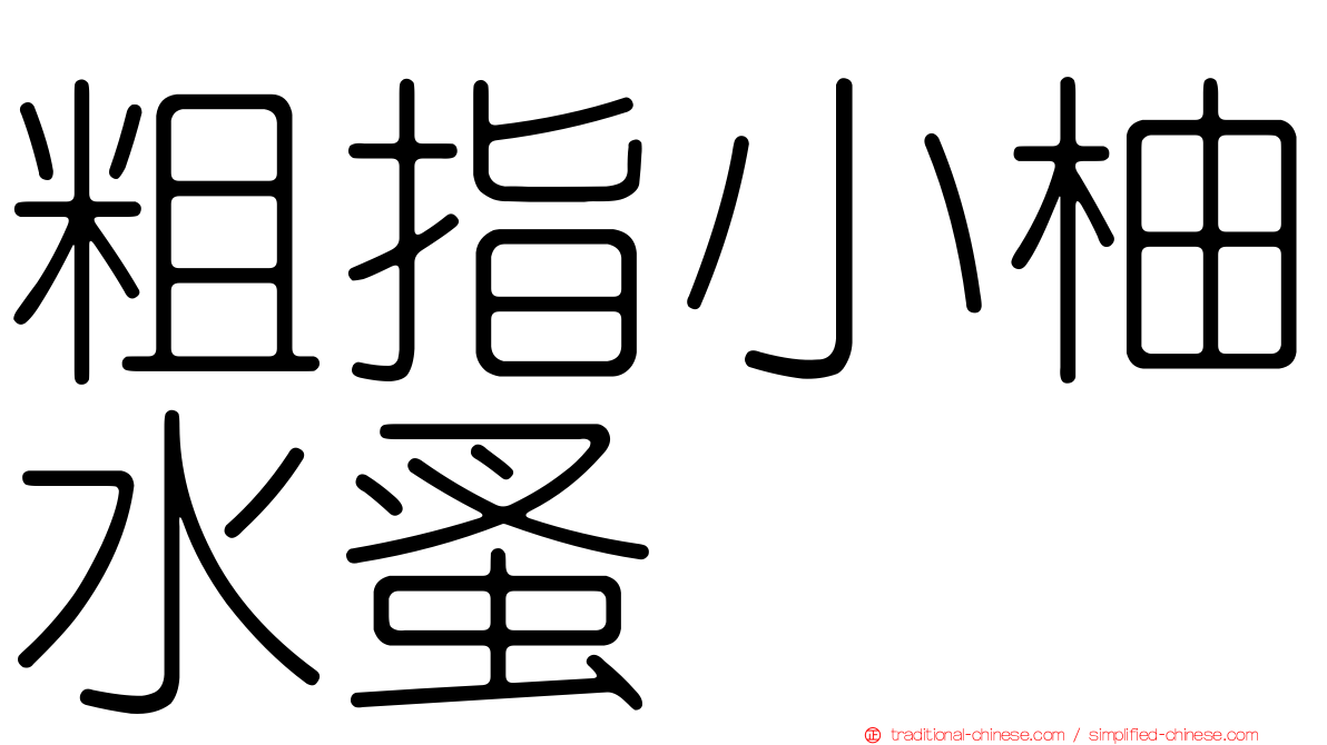 粗指小柚水蚤