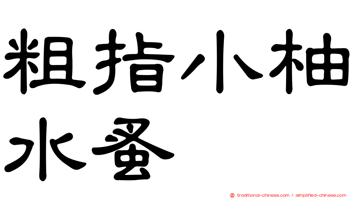 粗指小柚水蚤