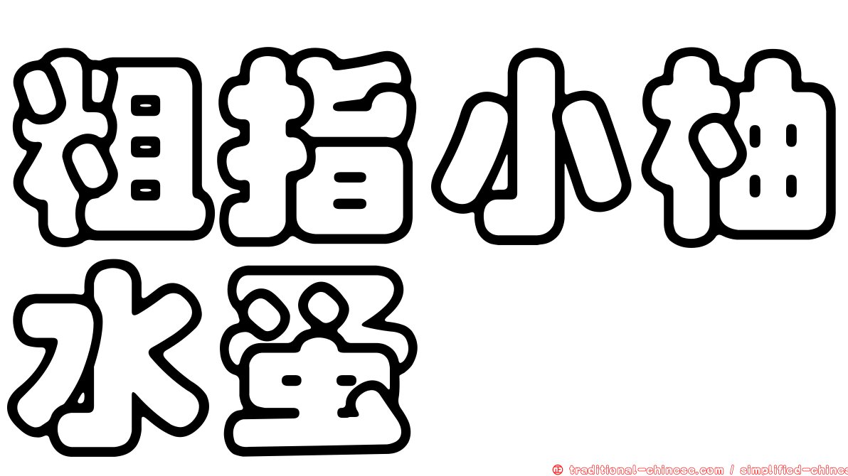 粗指小柚水蚤