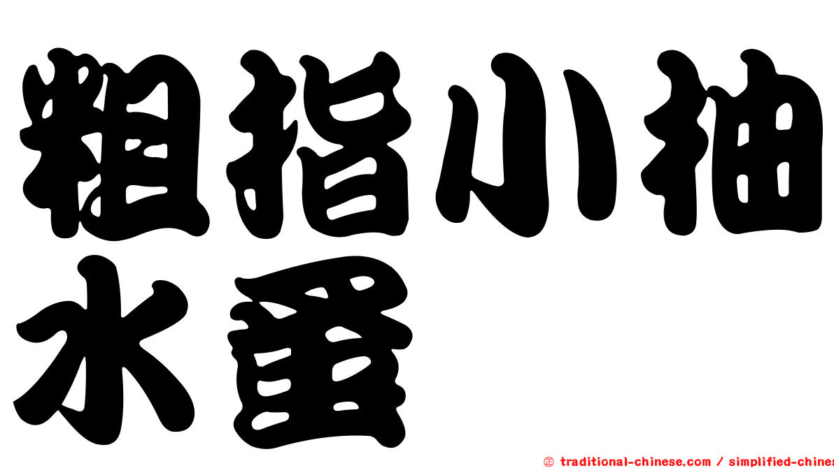 粗指小柚水蚤