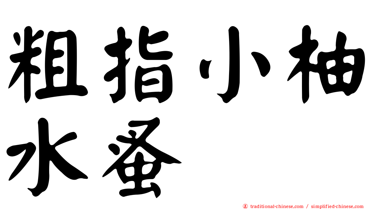 粗指小柚水蚤