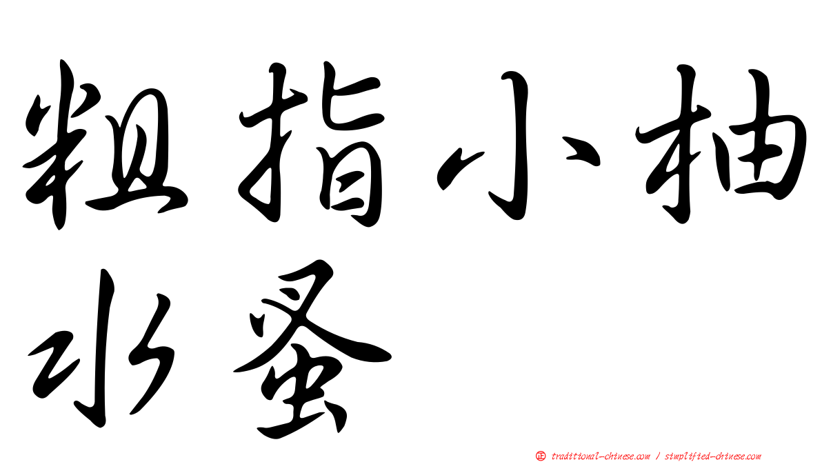 粗指小柚水蚤
