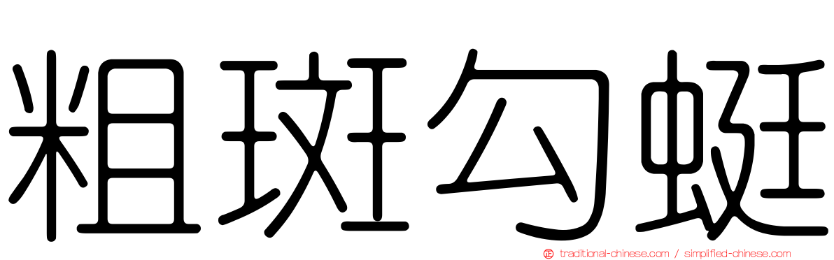 粗斑勾蜓