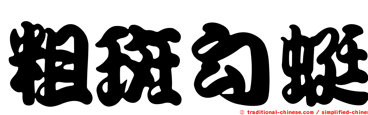 粗斑勾蜓