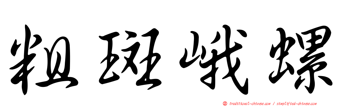 粗斑峨螺