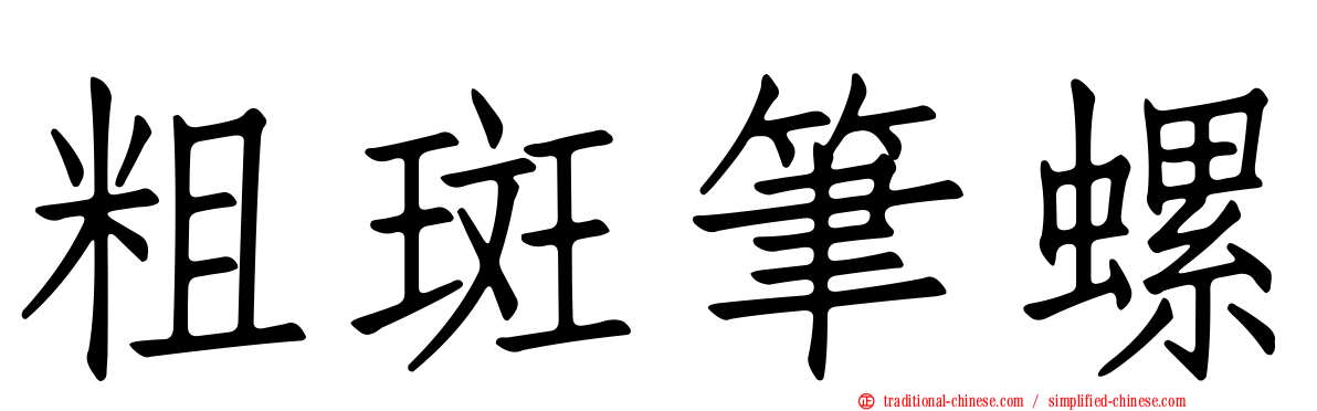 粗斑筆螺
