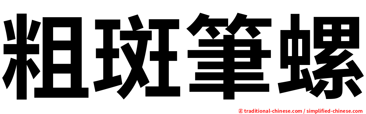 粗斑筆螺