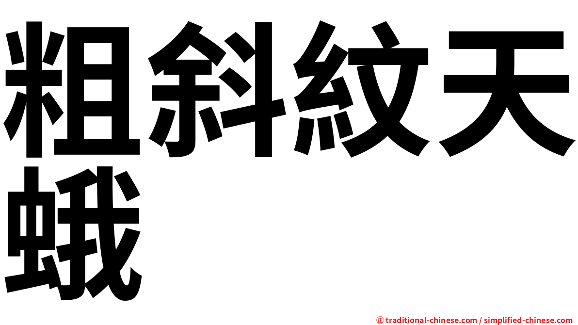 粗斜紋天蛾
