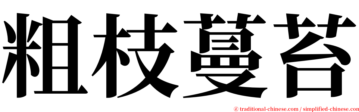 粗枝蔓苔 serif font