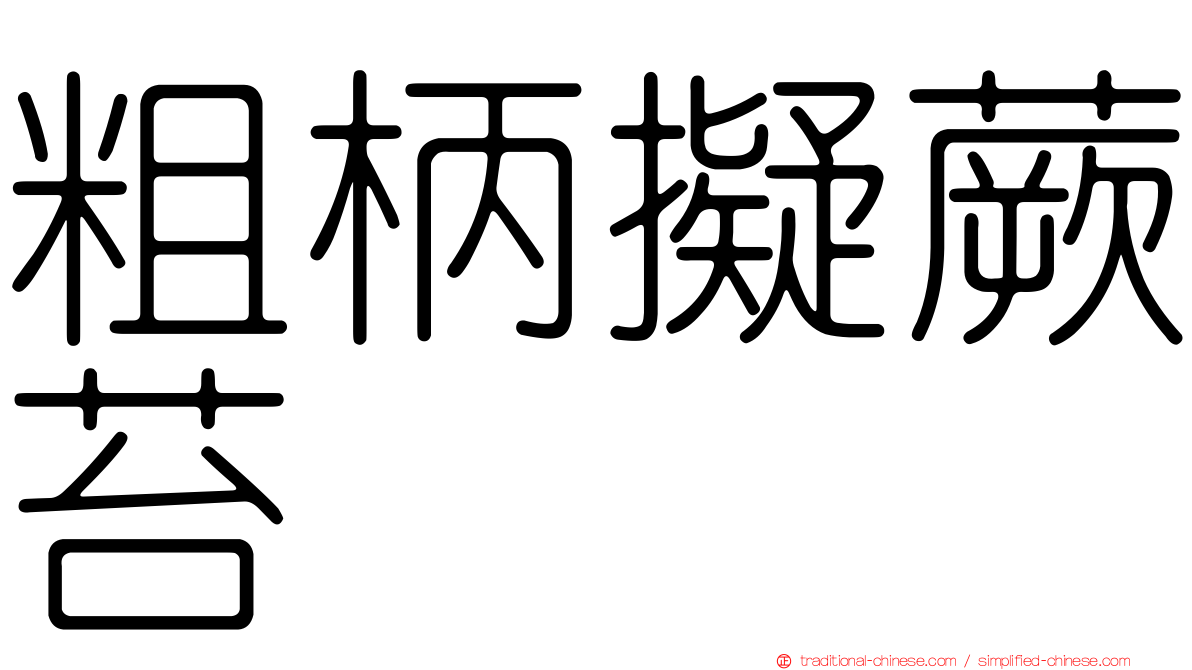 粗柄擬蕨苔