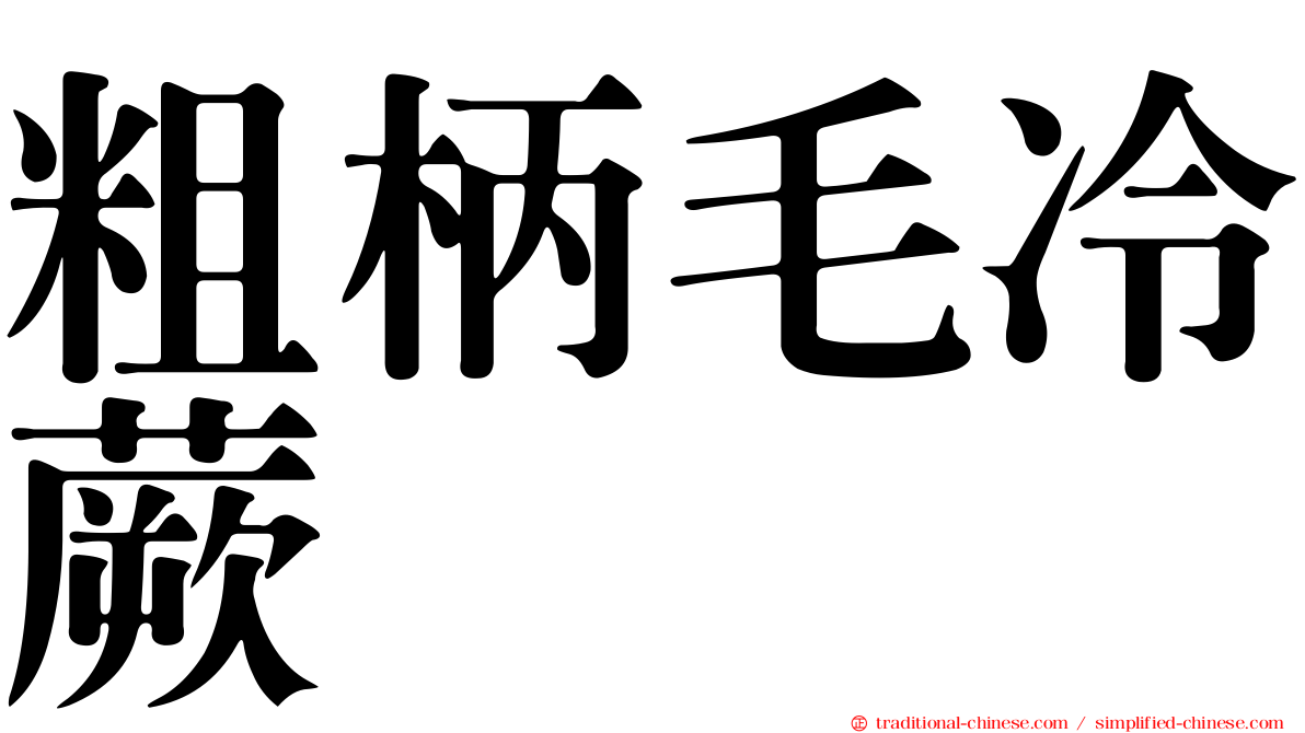 粗柄毛冷蕨
