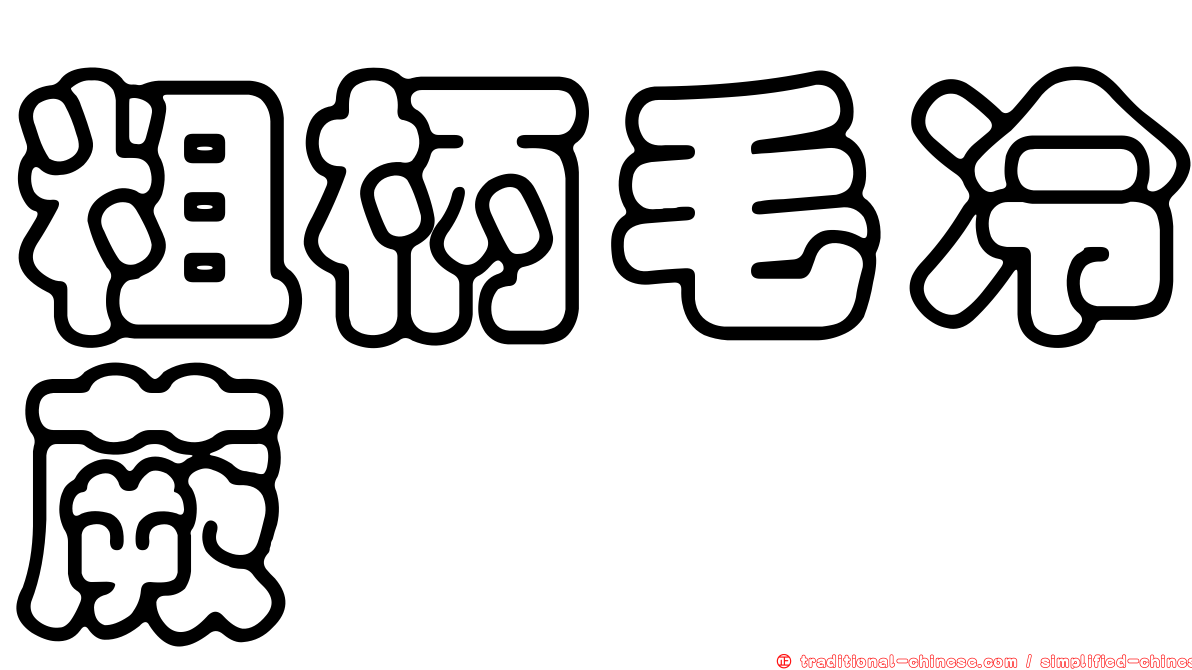 粗柄毛冷蕨