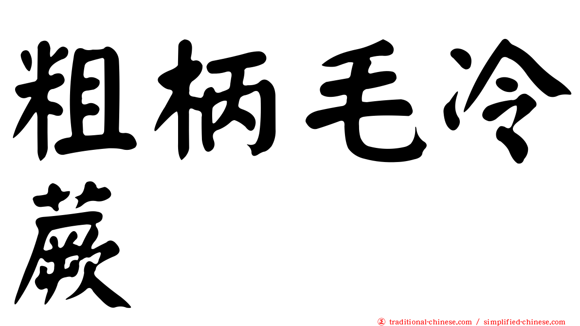 粗柄毛冷蕨