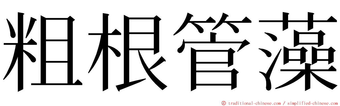 粗根管藻 ming font