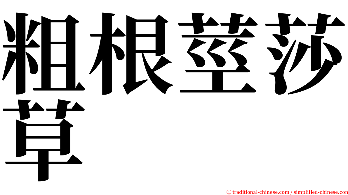 粗根莖莎草 serif font