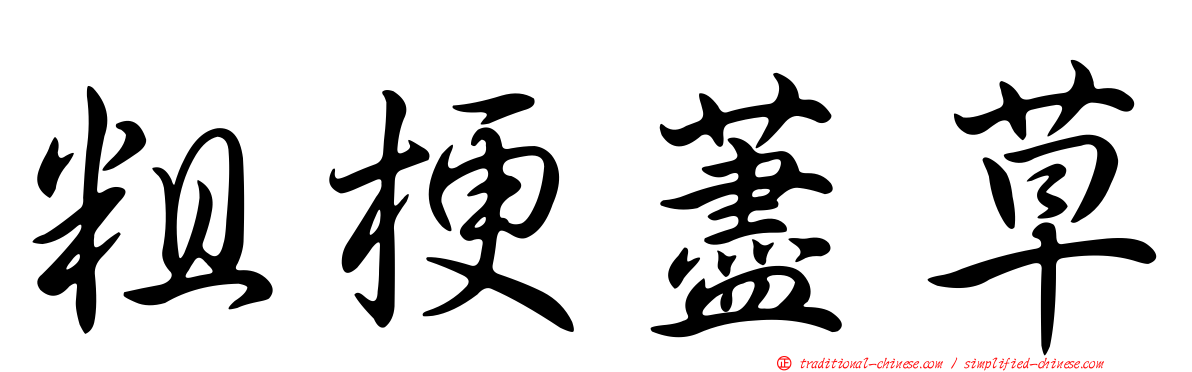 粗梗藎草