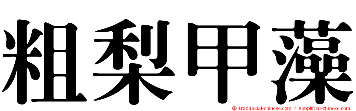 粗梨甲藻