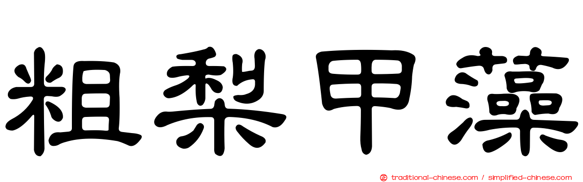 粗梨甲藻