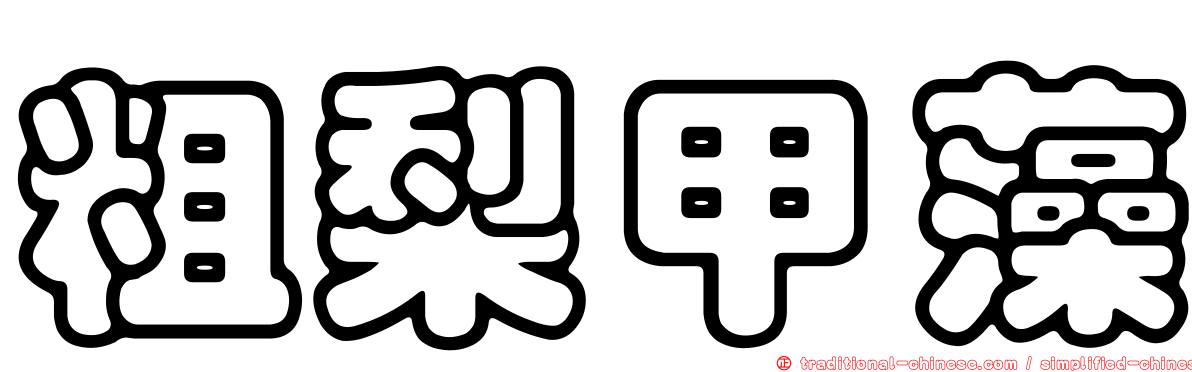 粗梨甲藻