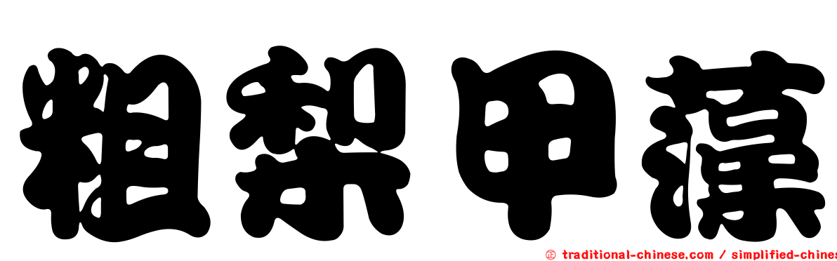 粗梨甲藻